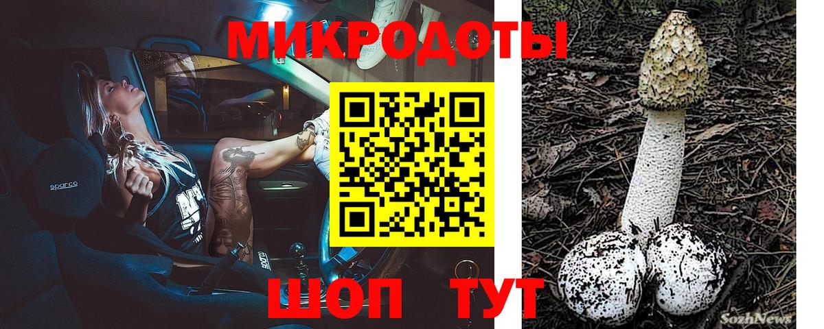 Псилоцибиновые грибы Cubensis Берёзовский
