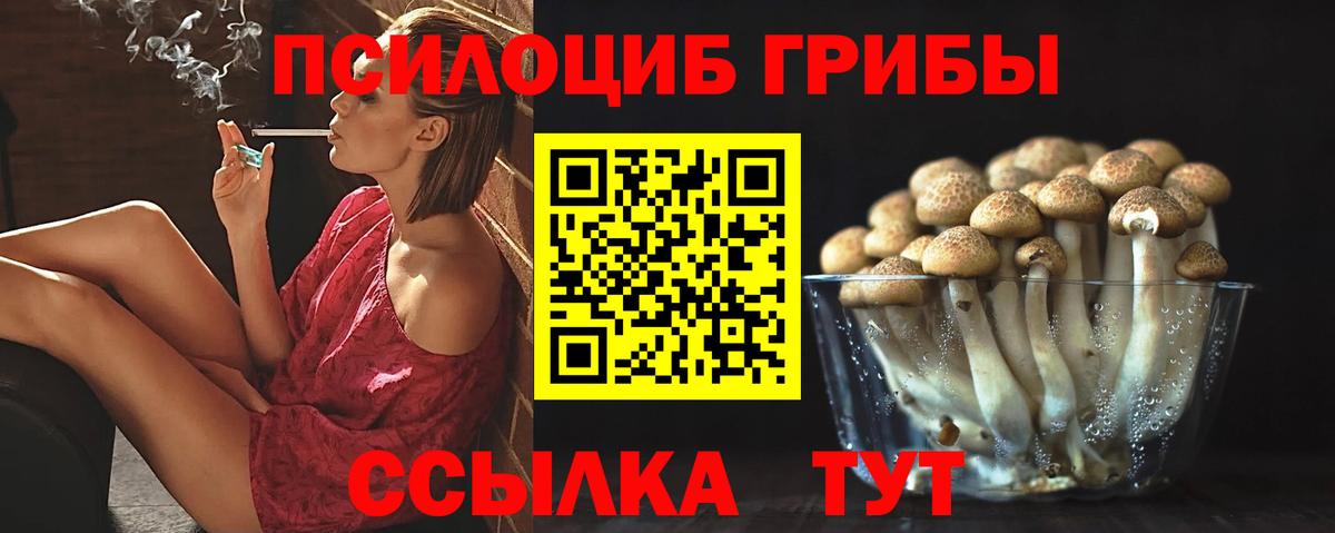 Берёзовский  сколько стоит  Галлюциногенные грибы Magic Shrooms  Вход с VPN  Галлюциногенные грибы MAGIC MUSHROOMS 